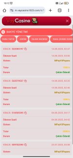 Screenshot_2025-08-14-18-12-41-896_com.android.chrome.jpg