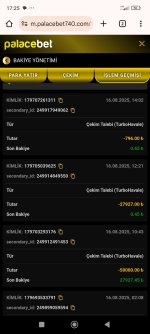 Screenshot_2025-08-16-17-25-51-956_com.android.chrome.jpg