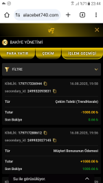 Screenshot_20250816-234451.png