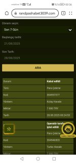 Screenshot_20250828_003610_com.huawei.browser.jpg