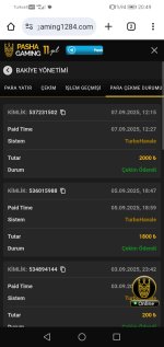 Screenshot_20250907_204946_com.android.chrome.jpg