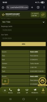 Screenshot_20250922_180305_Chrome.jpg