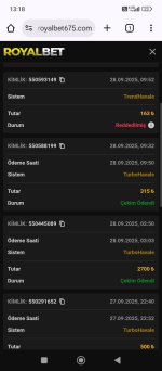 Screenshot_2025-09-28-13-18-27-286_com.android.chrome.jpg