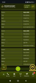 Screenshot_2025-10-02-13-23-22-665_com.android.chrome.jpg