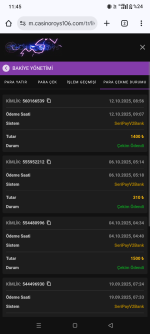 Screenshot_20251012-114543.png