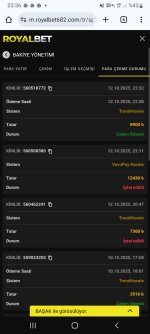 Screenshot_20251013-033659_Chrome.jpg