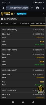 Screenshot_2025-10-13-19-16-51-510_com.android.chrome.jpg