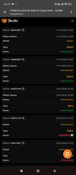 Screenshot_2025-10-14-01-11-14-324_com.android.chrome.jpg