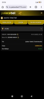 Screenshot_2025-10-18-20-36-49-011_com.android.chrome.jpg