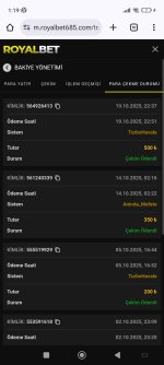 Screenshot_2025-10-20-01-19-36-841_com.android.chrome.jpg