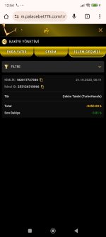 Screenshot_2025-10-21-12-54-31-621_com.android.chrome.jpg
