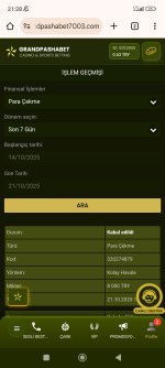 Screenshot_2025-10-21-21-28-52-946_com.android.chrome.jpg