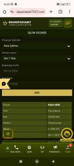 Screenshot_2025-11-04-16-03-51-454_com.android.chrome.jpg