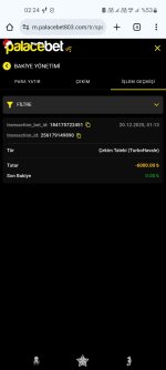 Screenshot_20251220-022411_Chrome.jpg