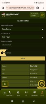 Screenshot_2026-01-04-18-21-17-689_com.android.chrome.jpg