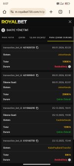Screenshot_2026-01-09-00-57-29-064_com.android.chrome.jpg