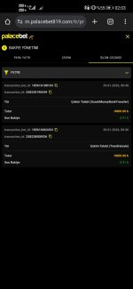 Screenshot_20260130_020316_com.android.chrome.jpg