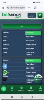 Screenshot_2026-02-17-01-18-16-302_com.android.chrome.jpg