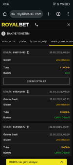 Screenshot_20260225-023913.png