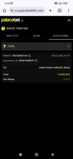 Screenshot_2026-02-28-06-43-14-816_com.android.chrome.jpg