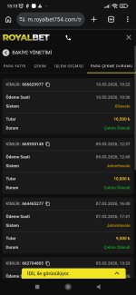 Screenshot_2026-03-10-15-13-02-874_com.android.chrome.jpg