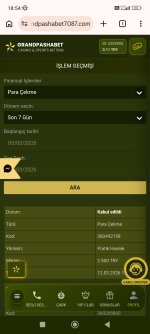 Screenshot_2026-03-12-18-54-29-974_com.android.chrome.jpg