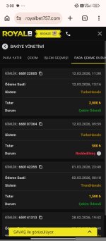 Screenshot_2026-03-13-03-00-40-036_com.android.chrome.jpg