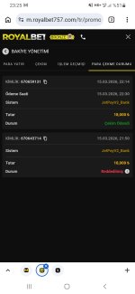 Screenshot_20260315-232506_Chrome.jpg