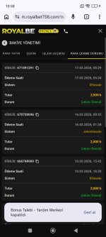 Screenshot_2026-03-17-10-58-31-289_com.android.chrome.jpg