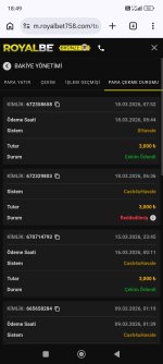 Screenshot_2026-03-18-18-49-14-224_com.android.chrome.jpg