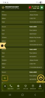 Screenshot_20260318_191803_Chrome.jpg