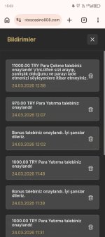 Screenshot_20260324-150331.jpg