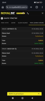 Screenshot_2026-04-07-22-41-19-498_com.android.chrome.jpg