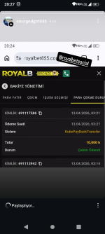 Screenshot_20260413-202709.png