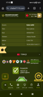 Screenshot_20260418-171321.png