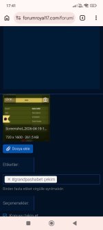 Screenshot_2026-04-19-17-41-29-492_com.android.chrome.jpg