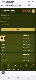 Screenshot_20260420_222118_Chrome.jpg