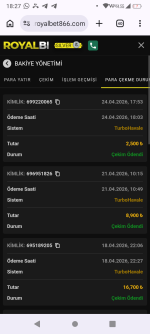 Screenshot_20260424-182744.png