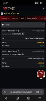 Screenshot_2026-04-30-23-07-22-292_com.yandex.browser.jpg