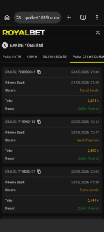 Screenshot_20260524-235321.png