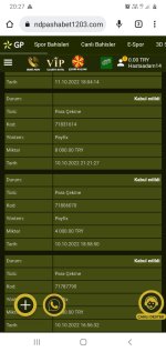 Screenshot_20221011-202741_Chrome.jpg