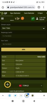 Screenshot_2022-10-18-13-30-39-134_com.android.chrome.jpg