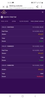 Screenshot_20221019-101028_Samsung Internet.jpg