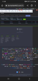 Screenshot_20221019-113835_Chrome.jpg