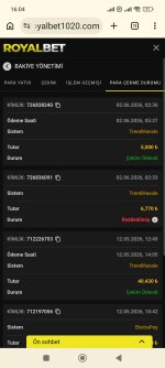 Screenshot_2026-06-02-16-04-49-583_com.android.chrome.jpg