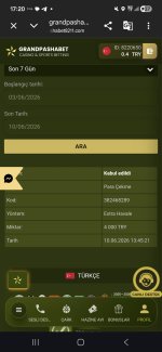 Screenshot_20260610_172033_Chrome.jpg