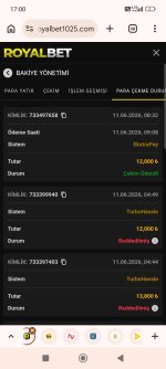 Screenshot_2026-06-11-17-00-03-896_com.android.chrome.jpg