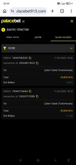 Screenshot_2026-06-11-20-44-30-497_com.android.chrome.jpg