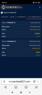 Screenshot_2026-06-12-03-54-27-333_com.yandex.browser.jpg