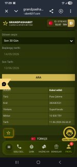 Screenshot_20260613_173000_Chrome.jpg